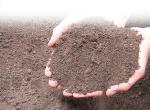 loom soil